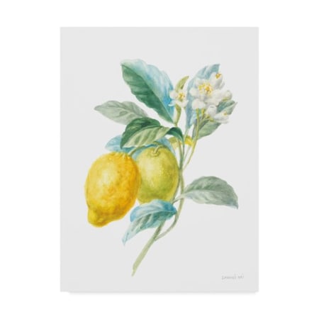 Danhui Nai 'Floursack Lemon Ii On White' Canvas Art,35x47